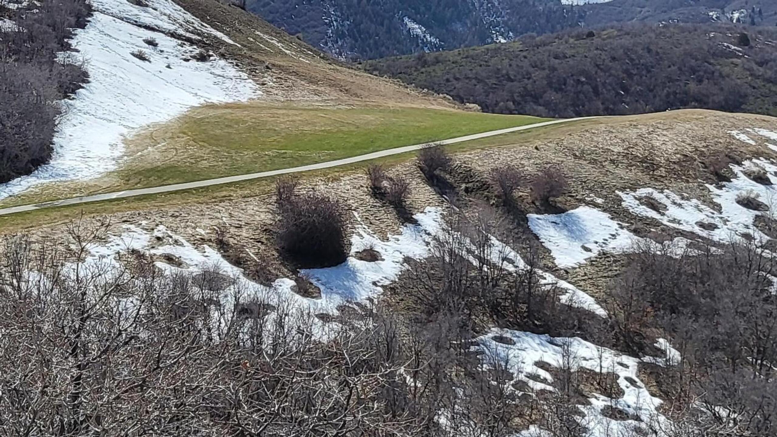 (Photo submitted by darivi1 on 03/31/2022)