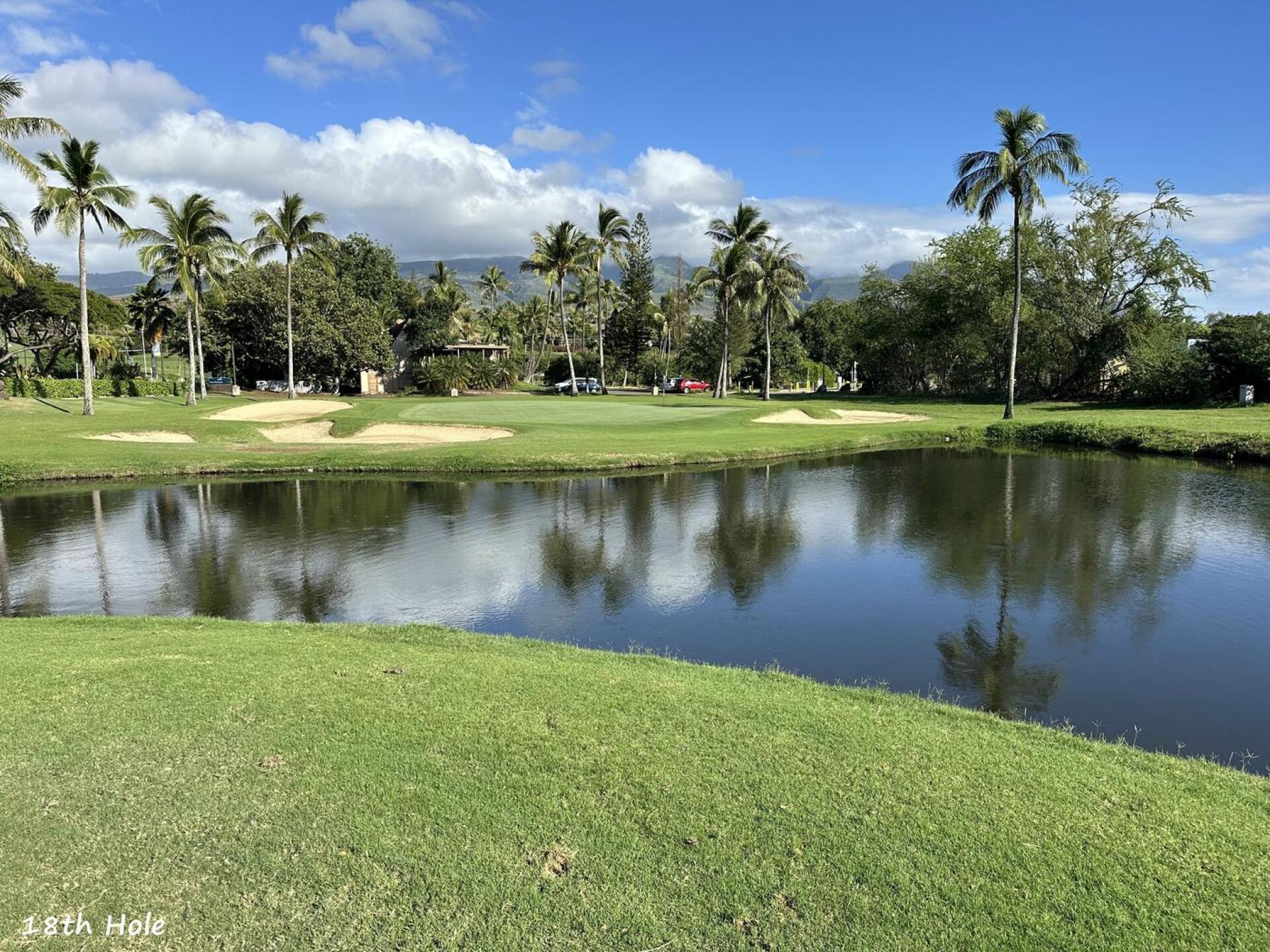 (Photo submitted by mrz7700 on 02/16/2025)