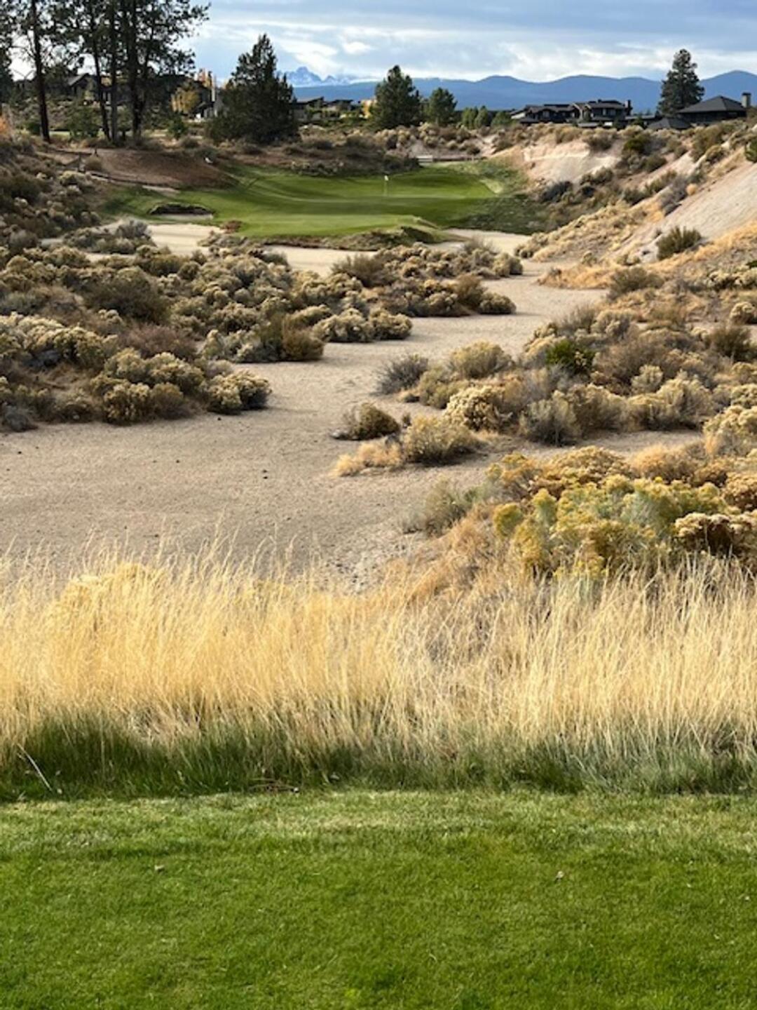 #17 Par 3 (Photo submitted by handymn on 10/20/2024)