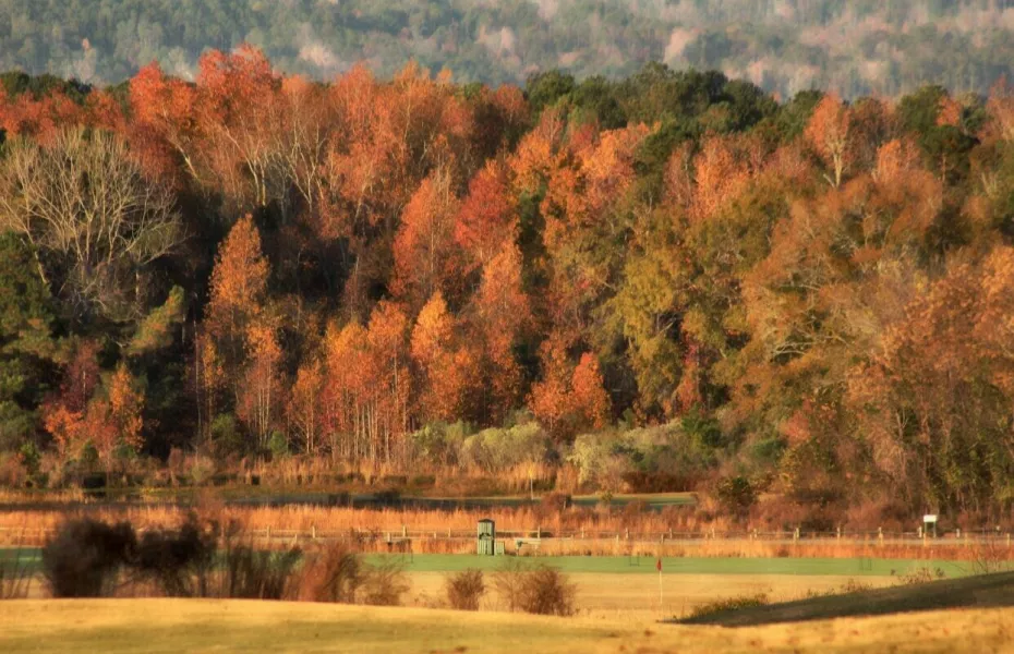 Meadow Links GC at George T. Bagby