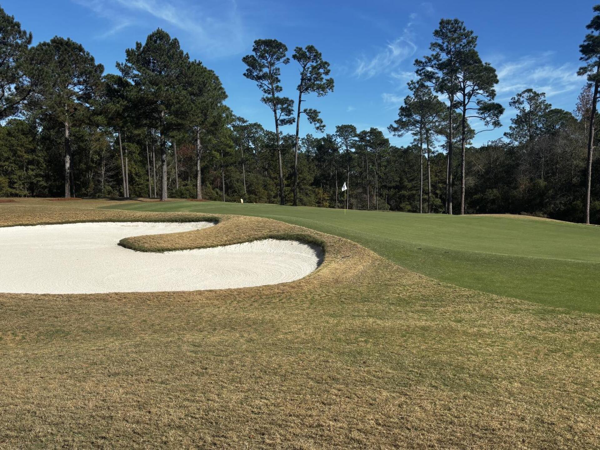 (Photo submitted by u000001694013 on 03/12/2026)