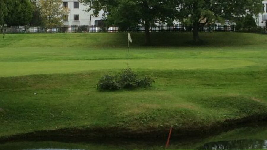 Green from Effingham Park