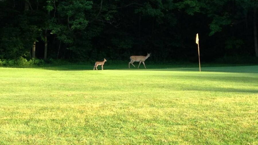 Lakeview House GC