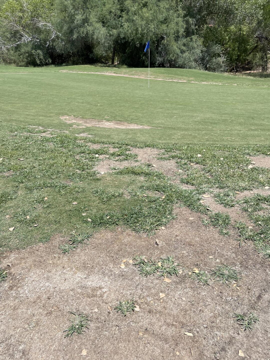 9th hole green (Photo submitted by svarsamis on 07/21/2022)