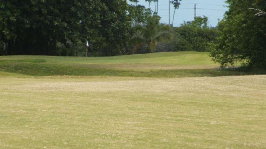 Ruby GC
