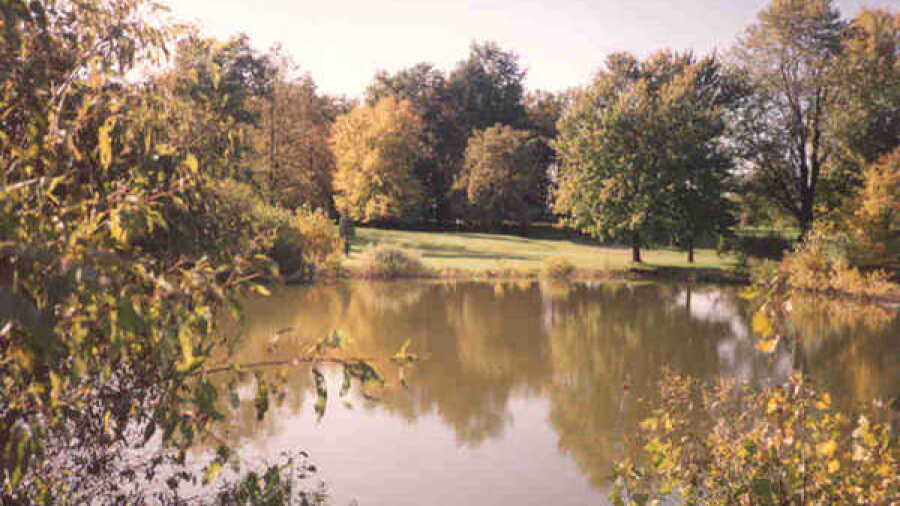 Belmont GC