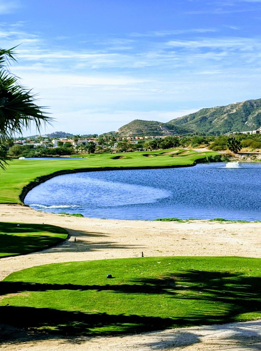 (Photo submitted by Snaphook417 on 01/26/2020)