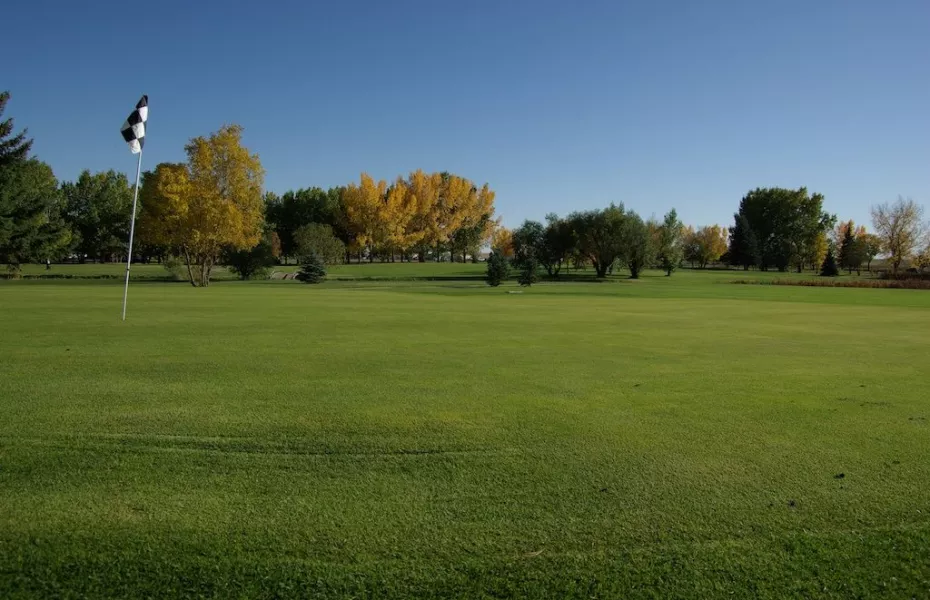 Bassano Sage & Thistle GC