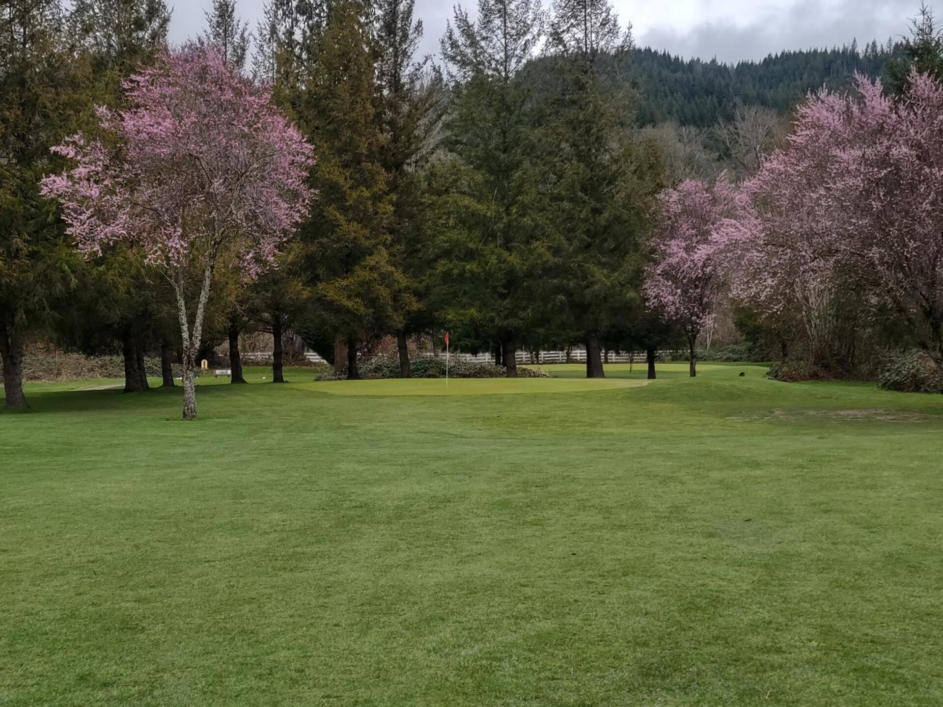 Look at 14 green approach. (Photo submitted by Clifford7195090 on 03/21/2021)
