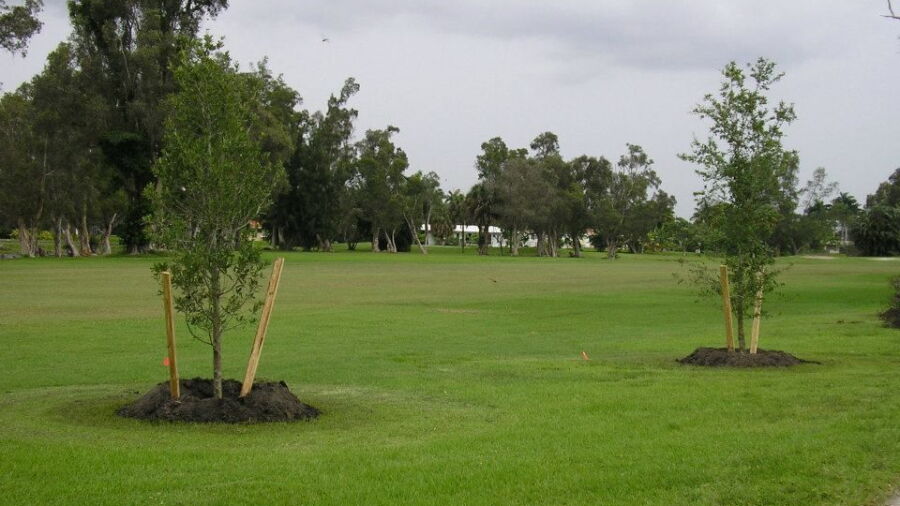 Orangebrook CC