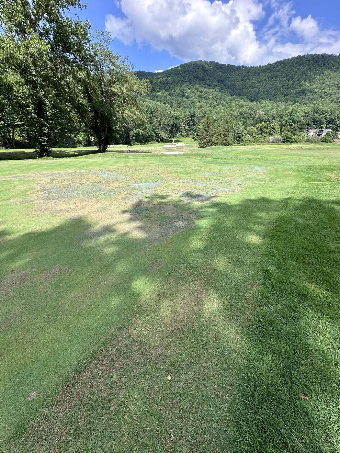 (Photo submitted by brighterbogeys1212 on 07/14/2024)