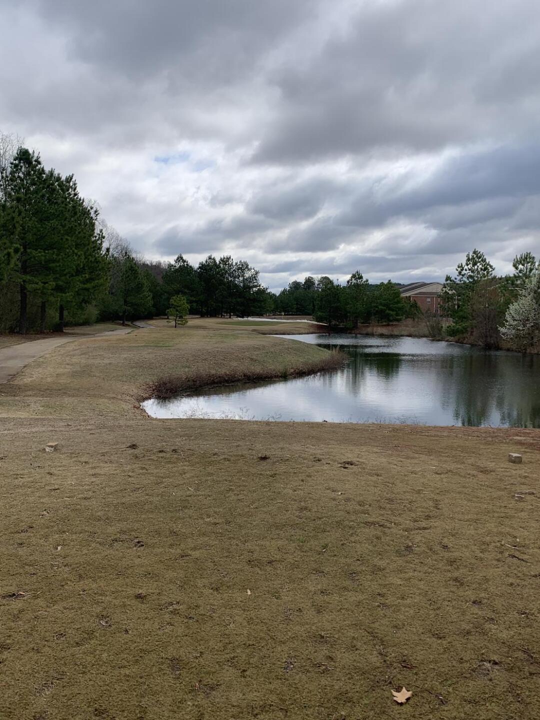 (Photo submitted by Audenkate19 on 03/09/2024)