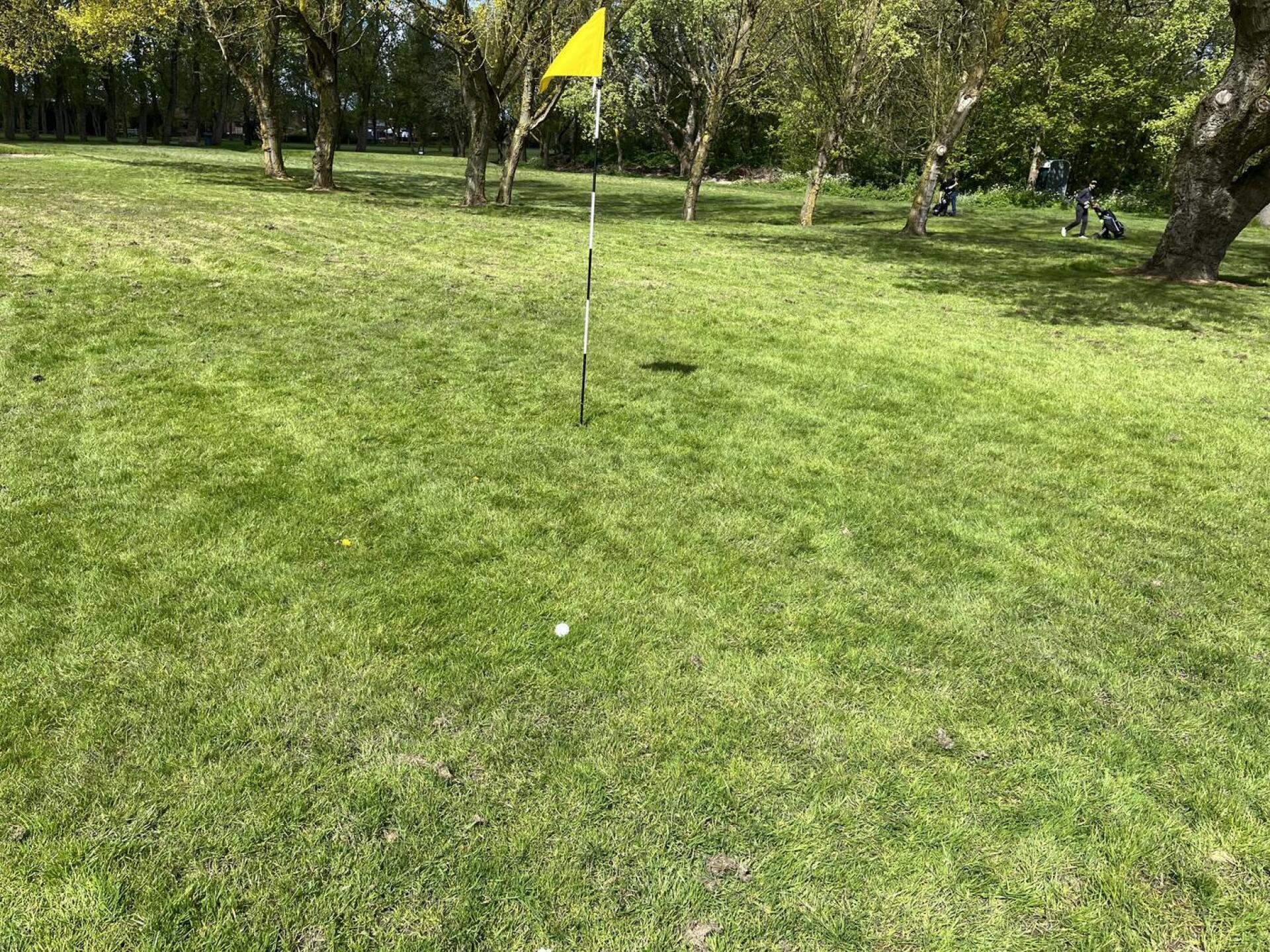 Not a temp Green! (Photo submitted by John3620 on 04/24/2024)