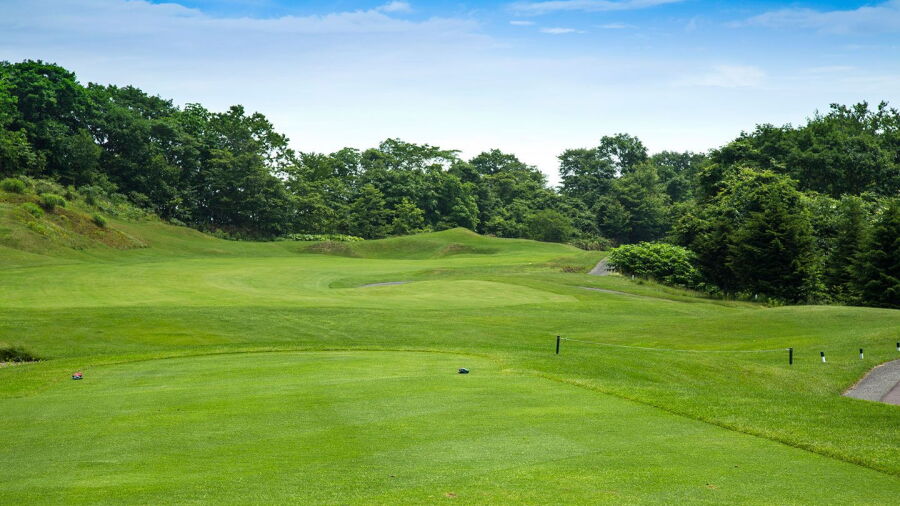 Hokkaido GC - Lion: #3