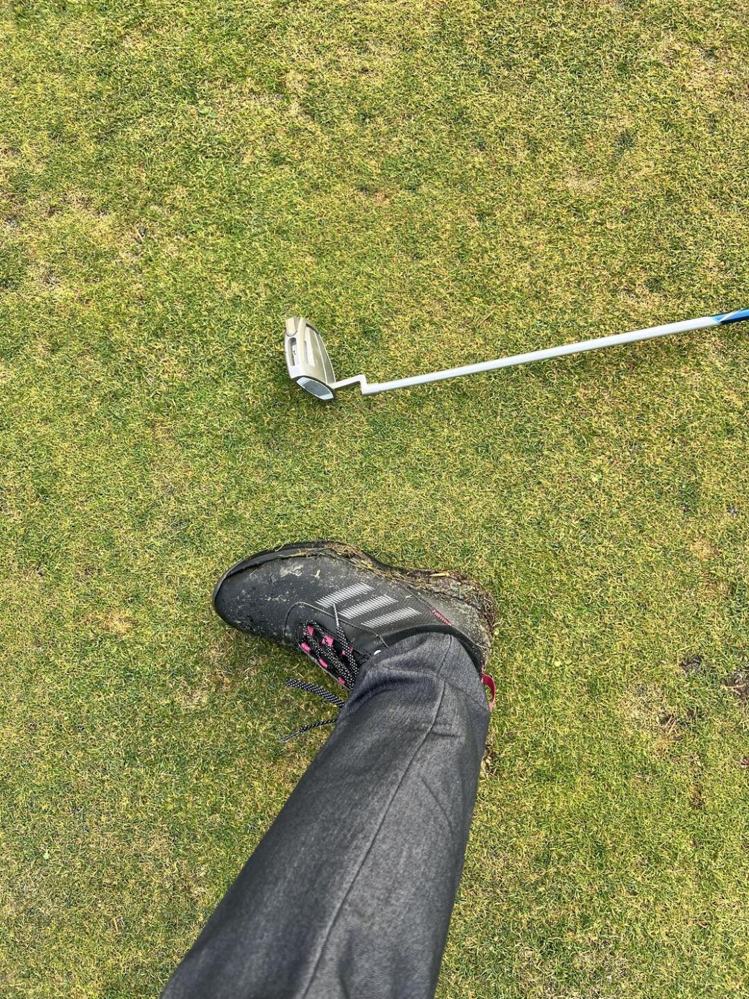 (Photo submitted by suesfisher on 11/29/2024)