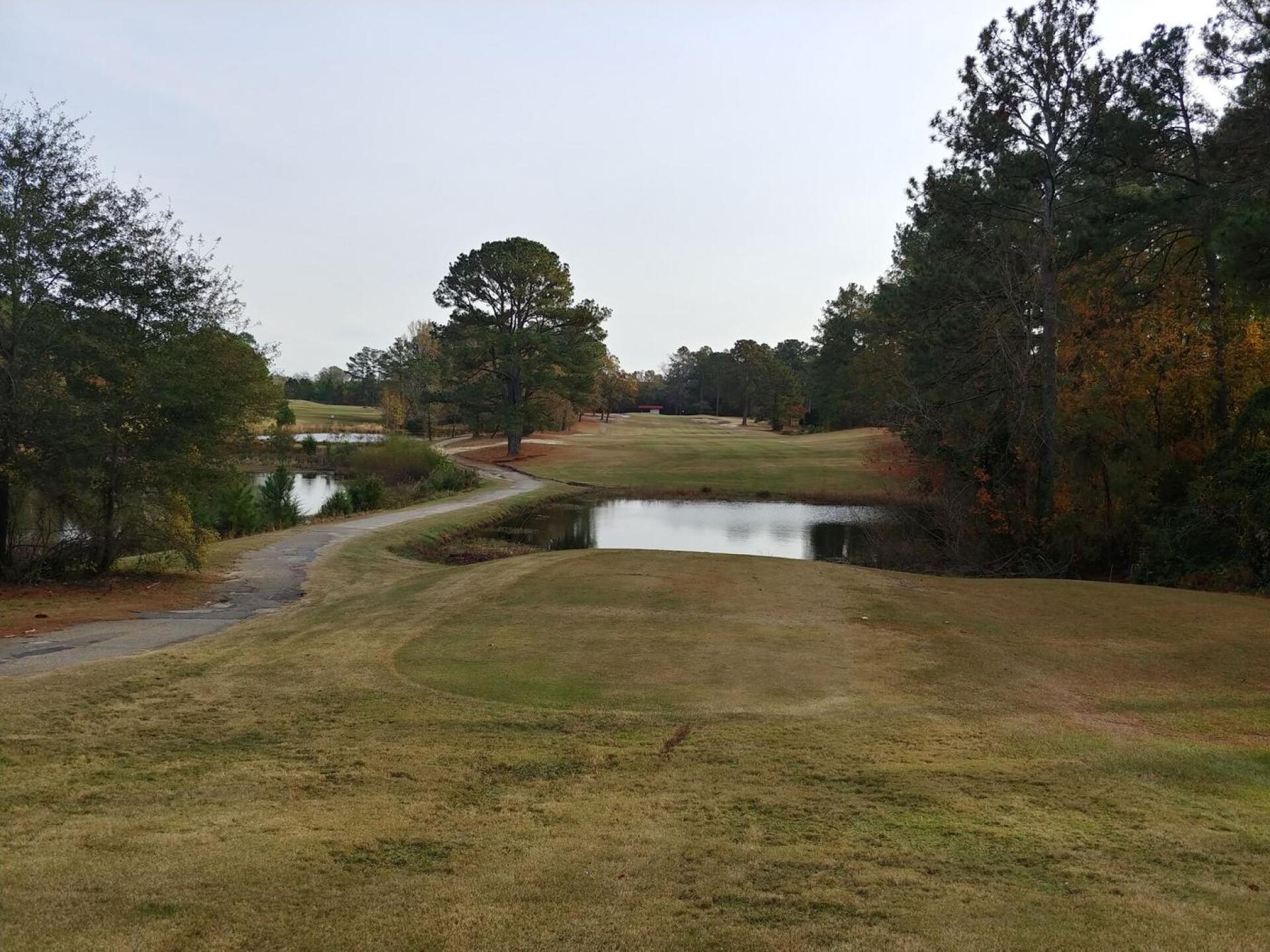 Par 4, #15 (Photo submitted by Bombtech6316 on 11/28/2018)