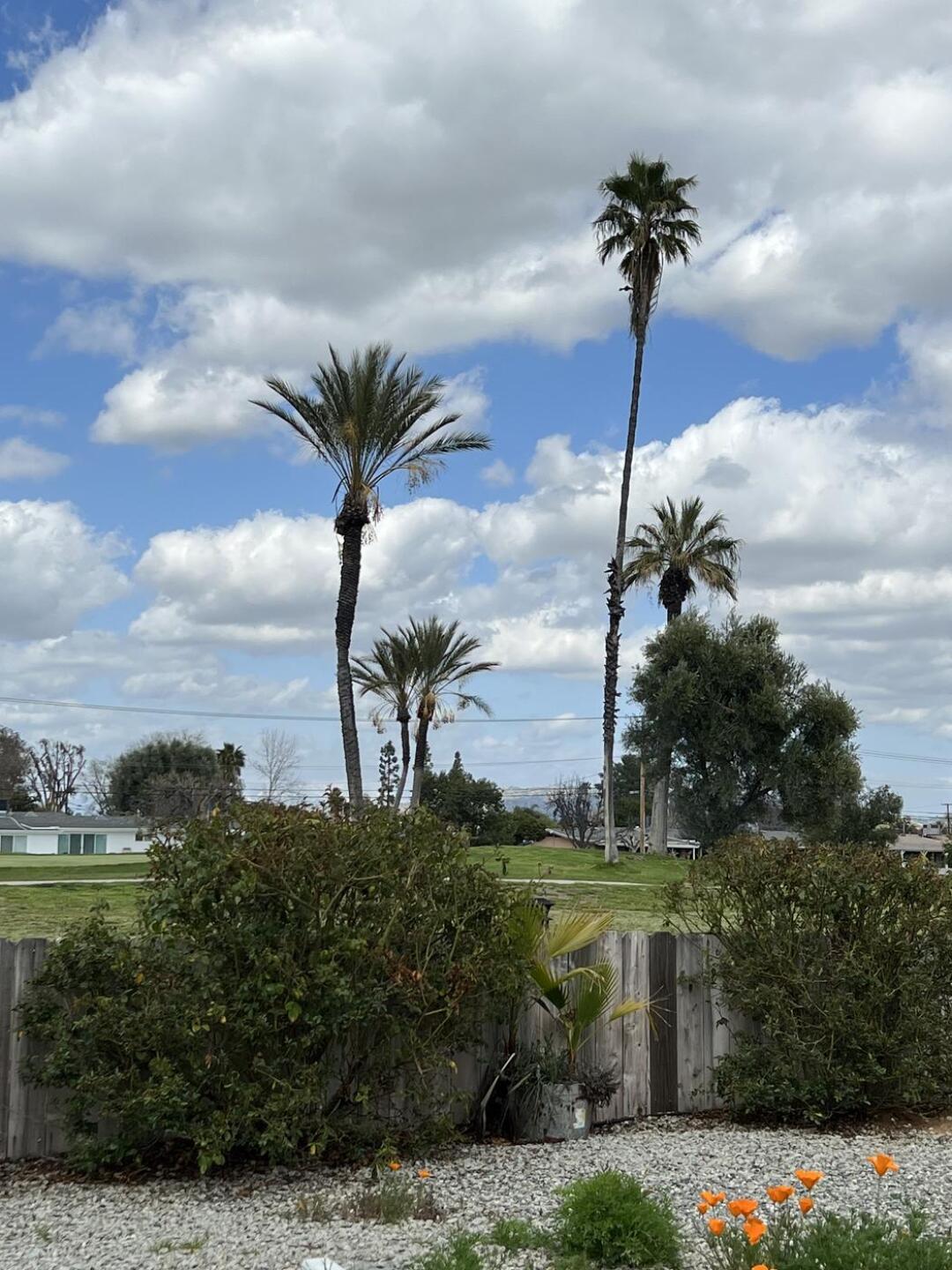 (Photo submitted by u314163093968 on 03/26/2023)