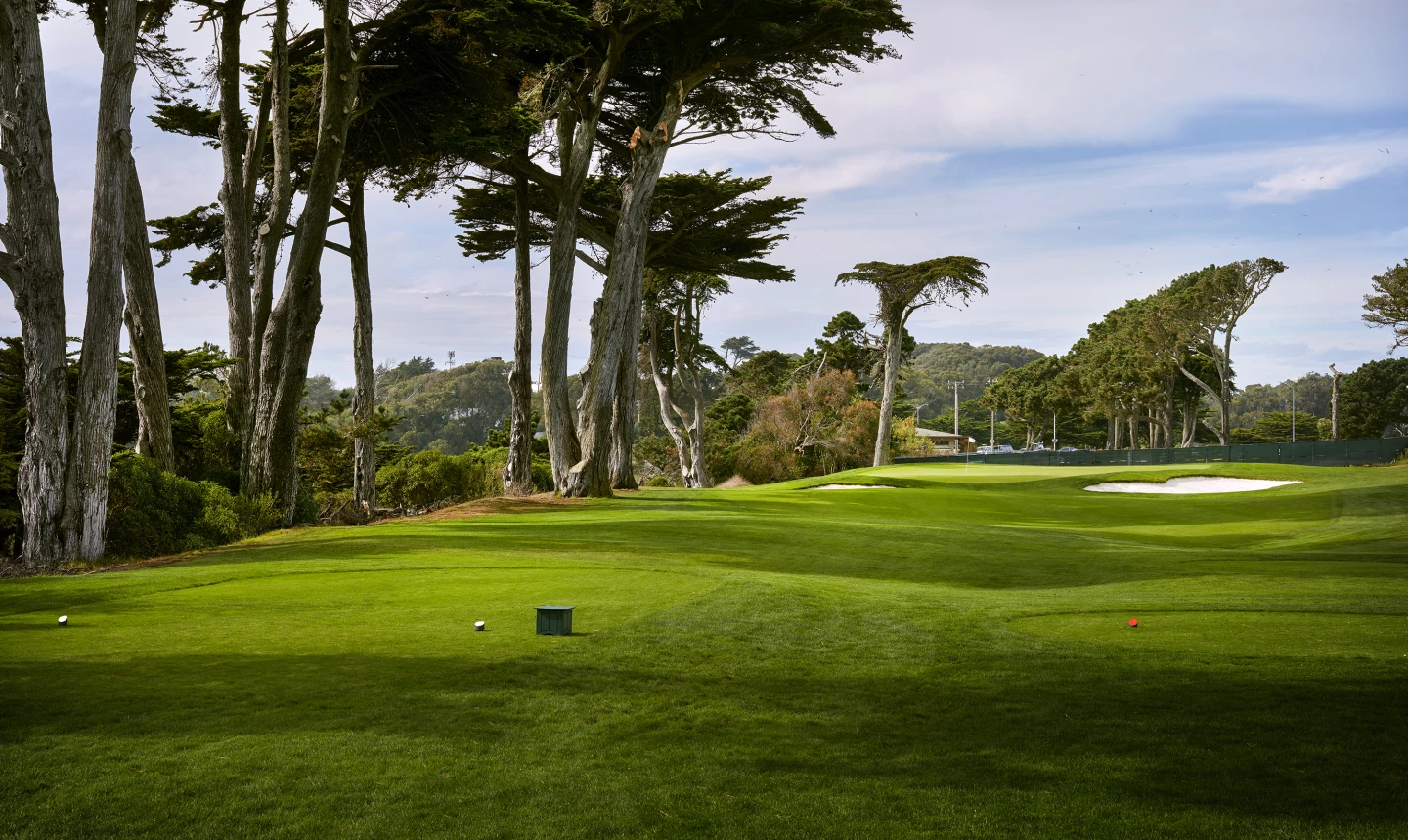 TPC Harding Park - hole 17