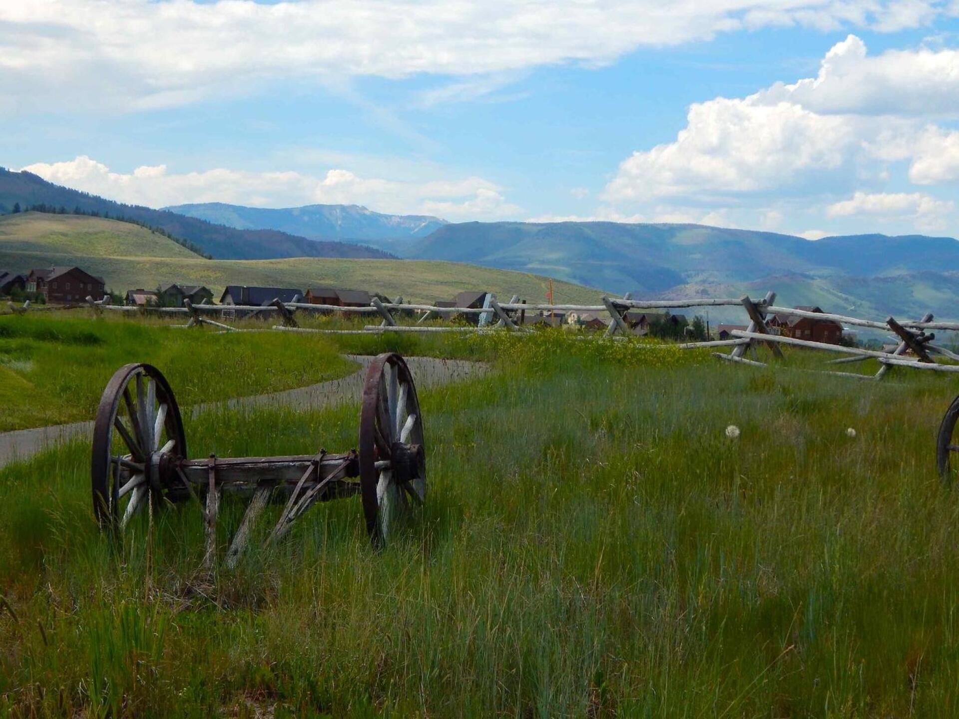 (Photo submitted by zekesphotos on 07/03/2015)