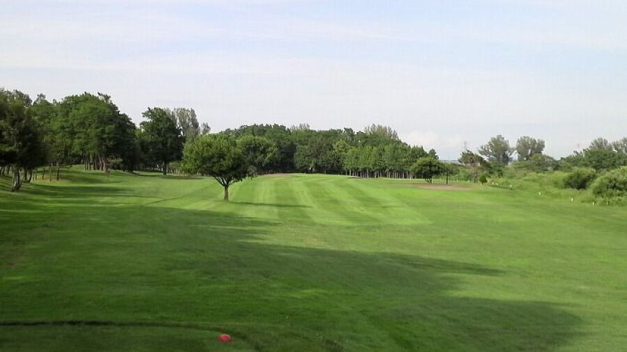 Barato CC: #5