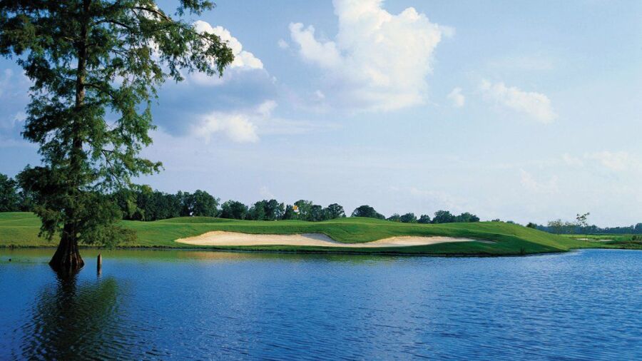 The Island CC: #11