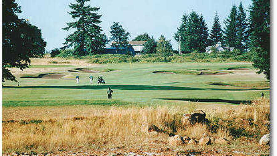 Stone Creek #6