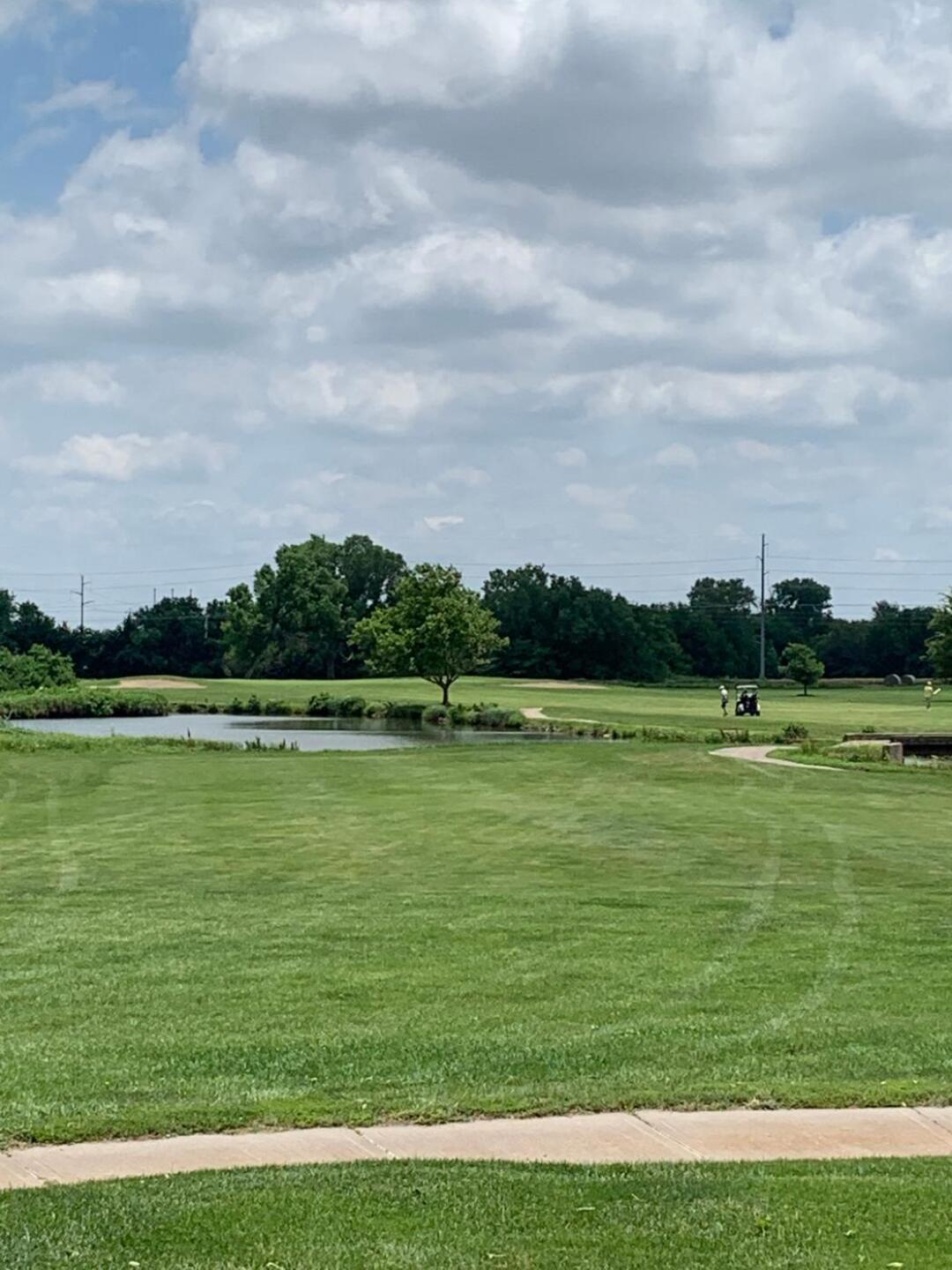 (Photo submitted by bizzle on 06/16/2019)