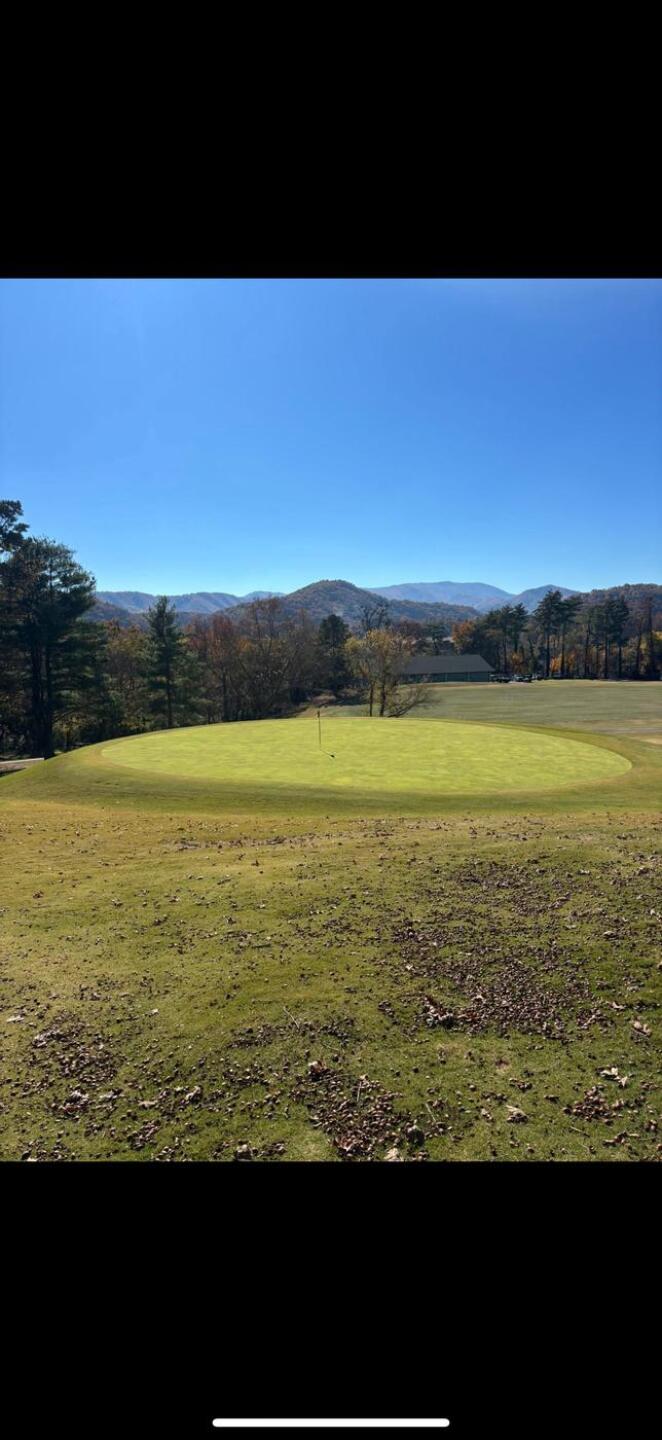 (Photo submitted by chris121 on 11/09/2025)