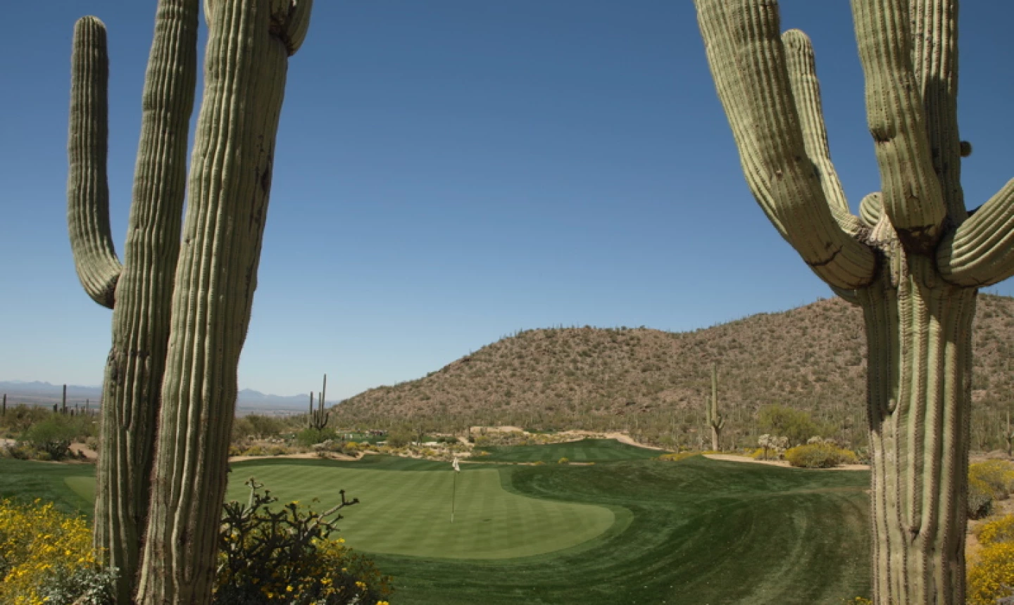 Ritz-Carlton G.C., Dove Mountain - Tortolita - 6th