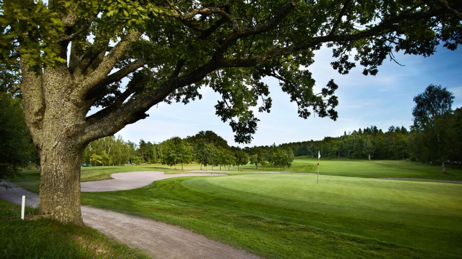 Aura Golf