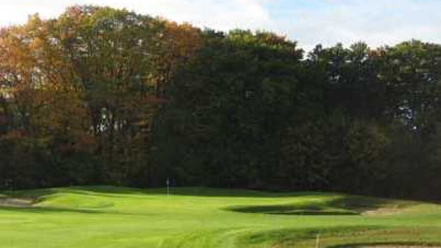 Vechta Welpe GC: #18