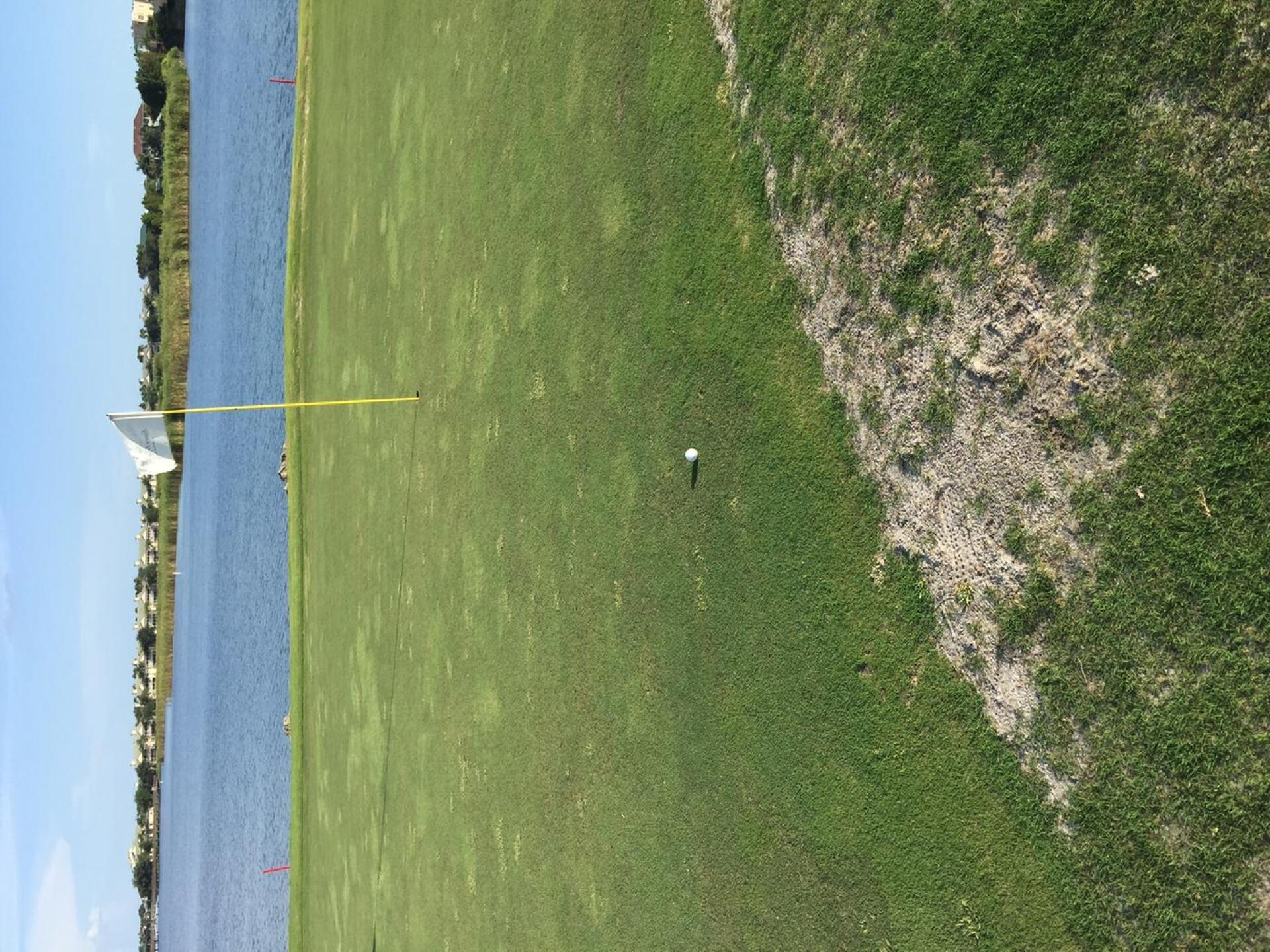 Sand patches on collars (Photo submitted by jarrett3112794 on 07/11/2016)