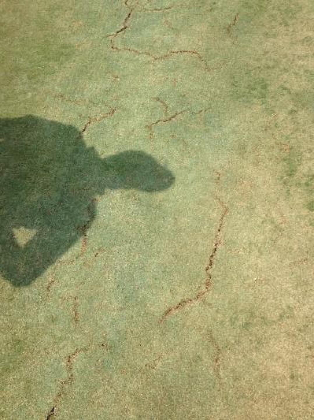 (Photo submitted by DavidPro68 on 08/19/2013)