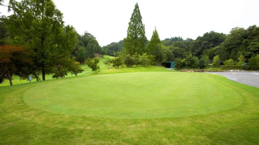 Daiju GC Toyota: Practice area