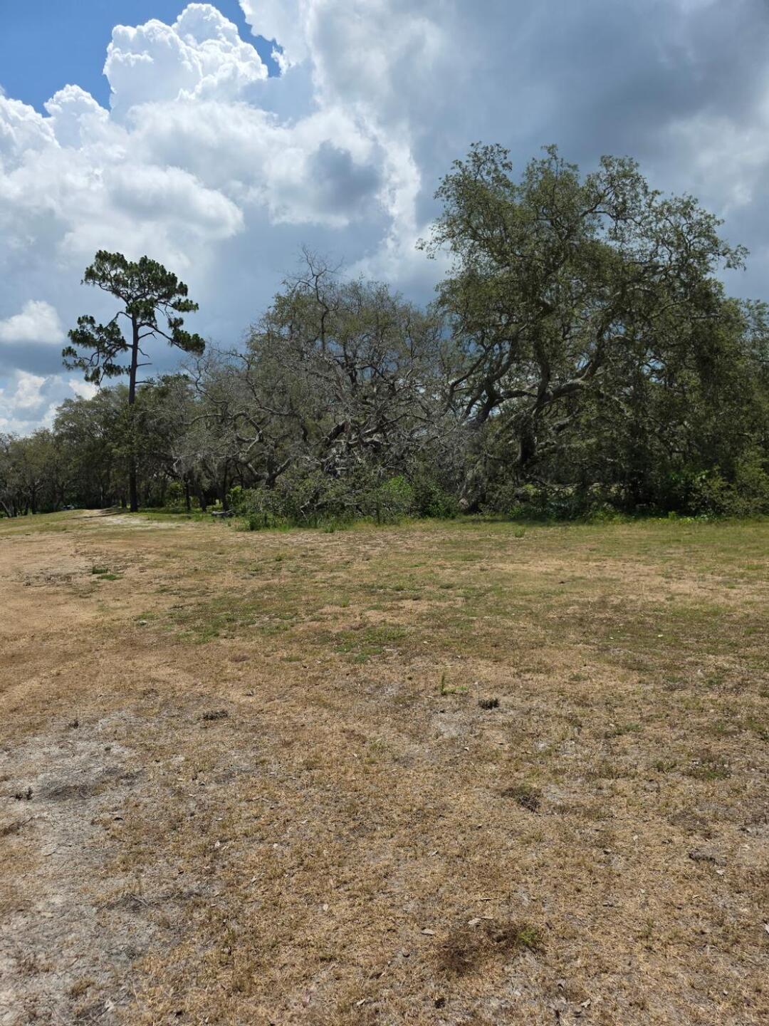 (Photo submitted by u314161430948 on 05/27/2025)