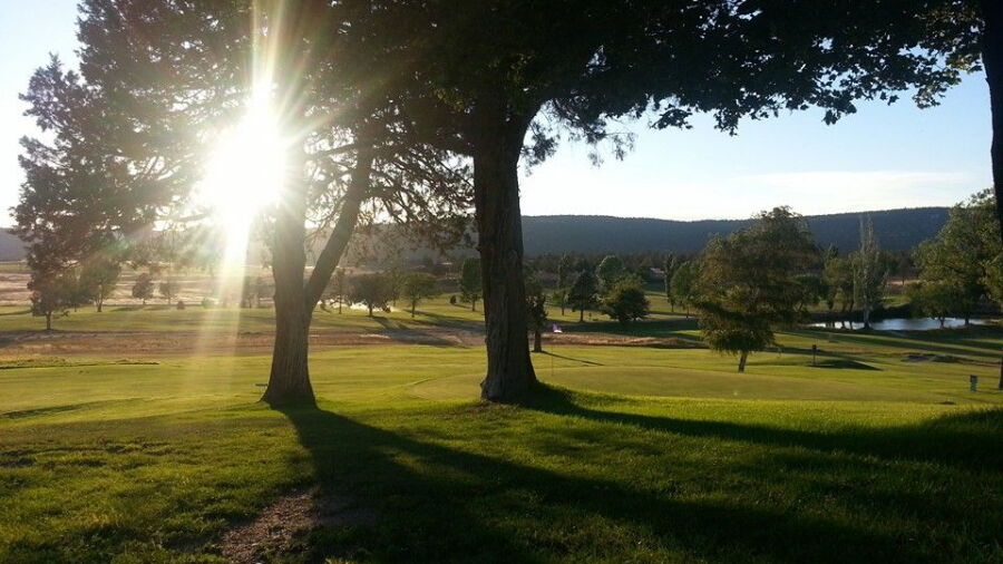 Arrowhead GC