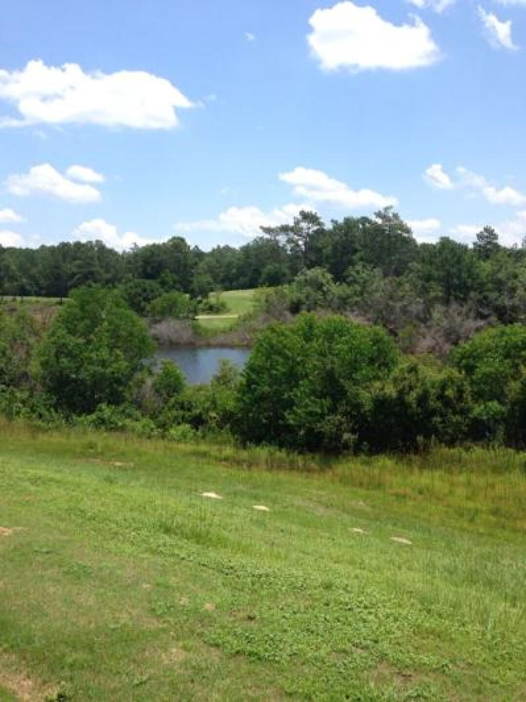 good views (Photo submitted by drallabg on 06/13/2014)