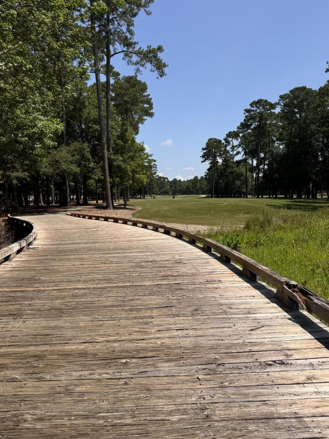 (Photo submitted by 3Rx9MVHEJxfCNCZesf12 on 06/02/2024)