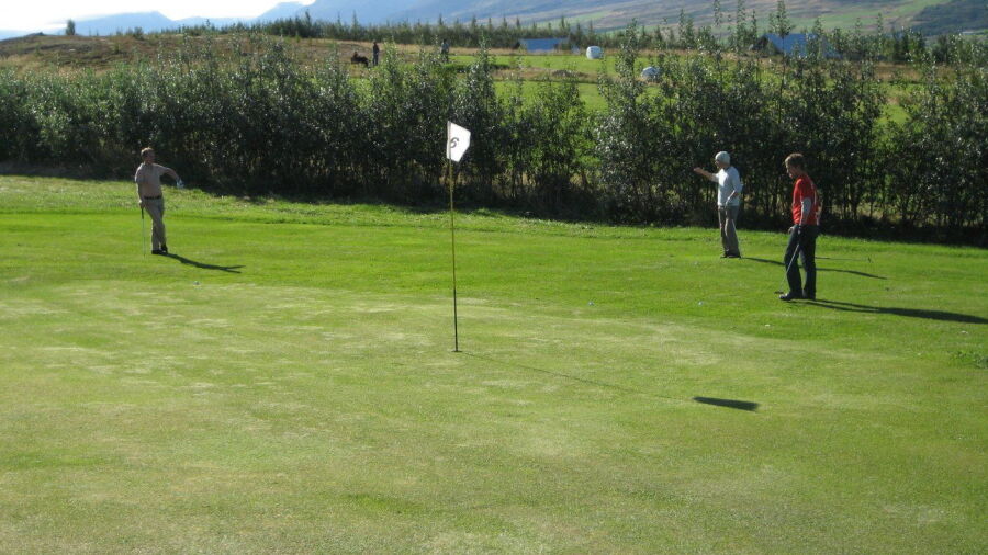 Thvera GC: #6