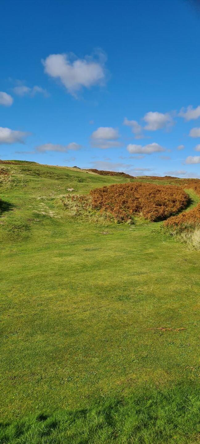 (Photo submitted by Leedsleeds7 on 10/14/2023)