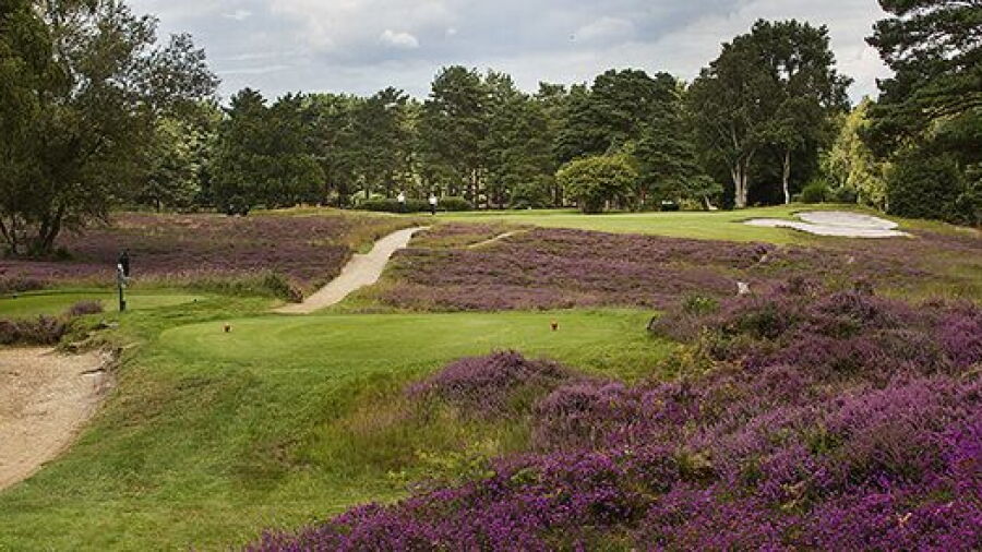 West Sussex GC: #12