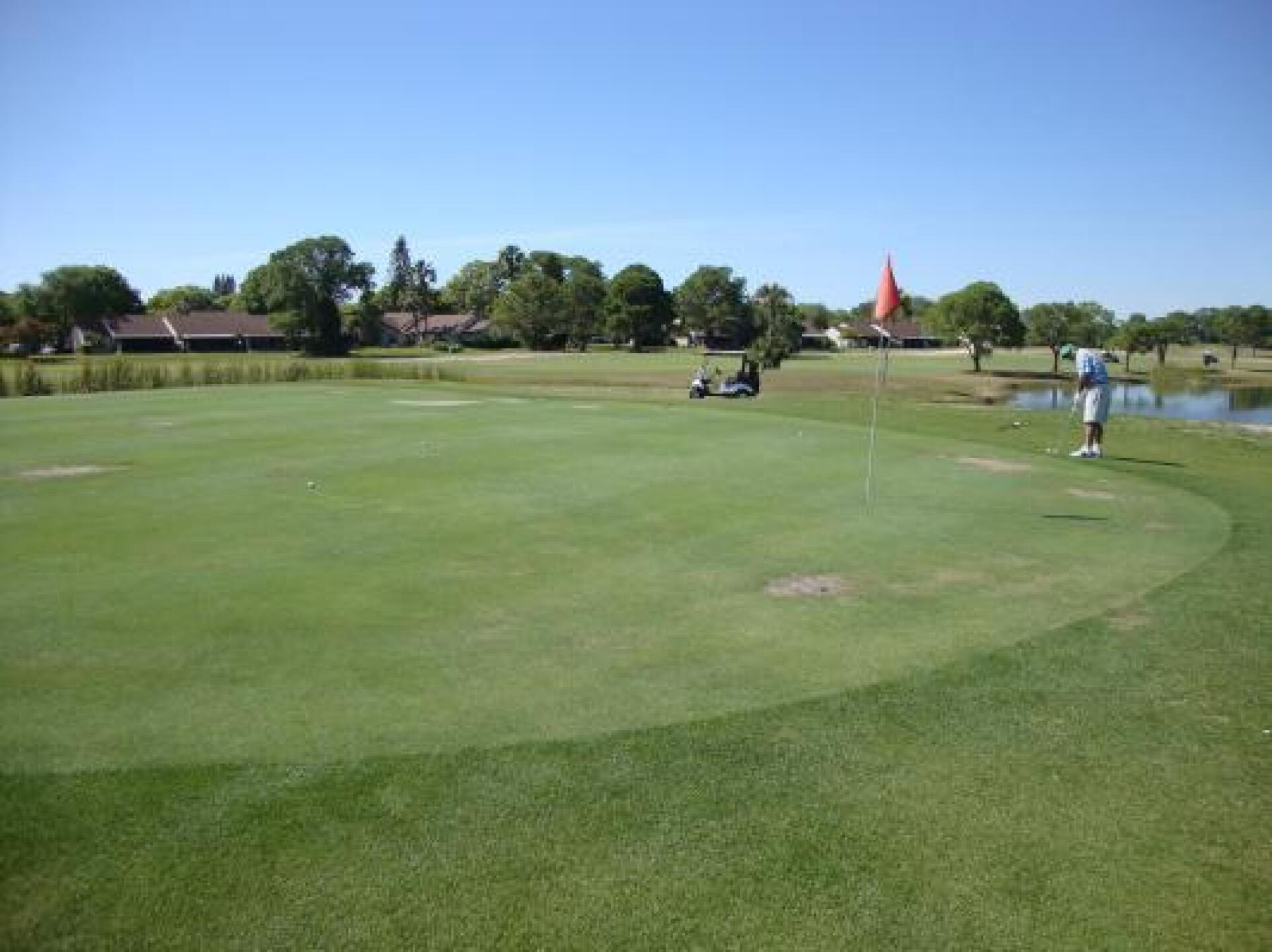 Patchy Green (Photo submitted by u000006422911 on 03/25/2013)