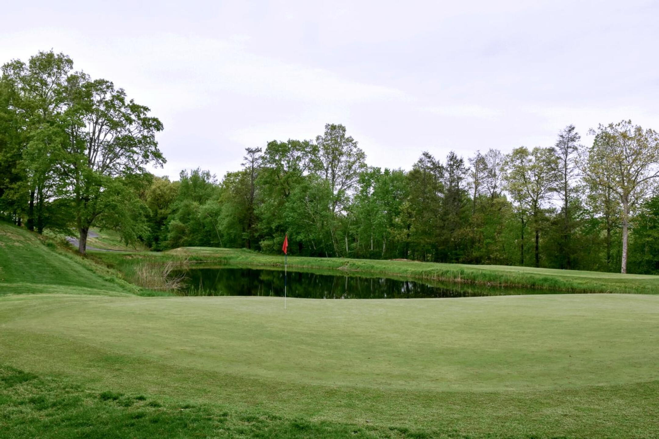 Fourteen, which descends to this green from a high tee, may be the best par-3 at Quarry Ridge. (Photo submitted by AptlyLinked on 05/14/2026)