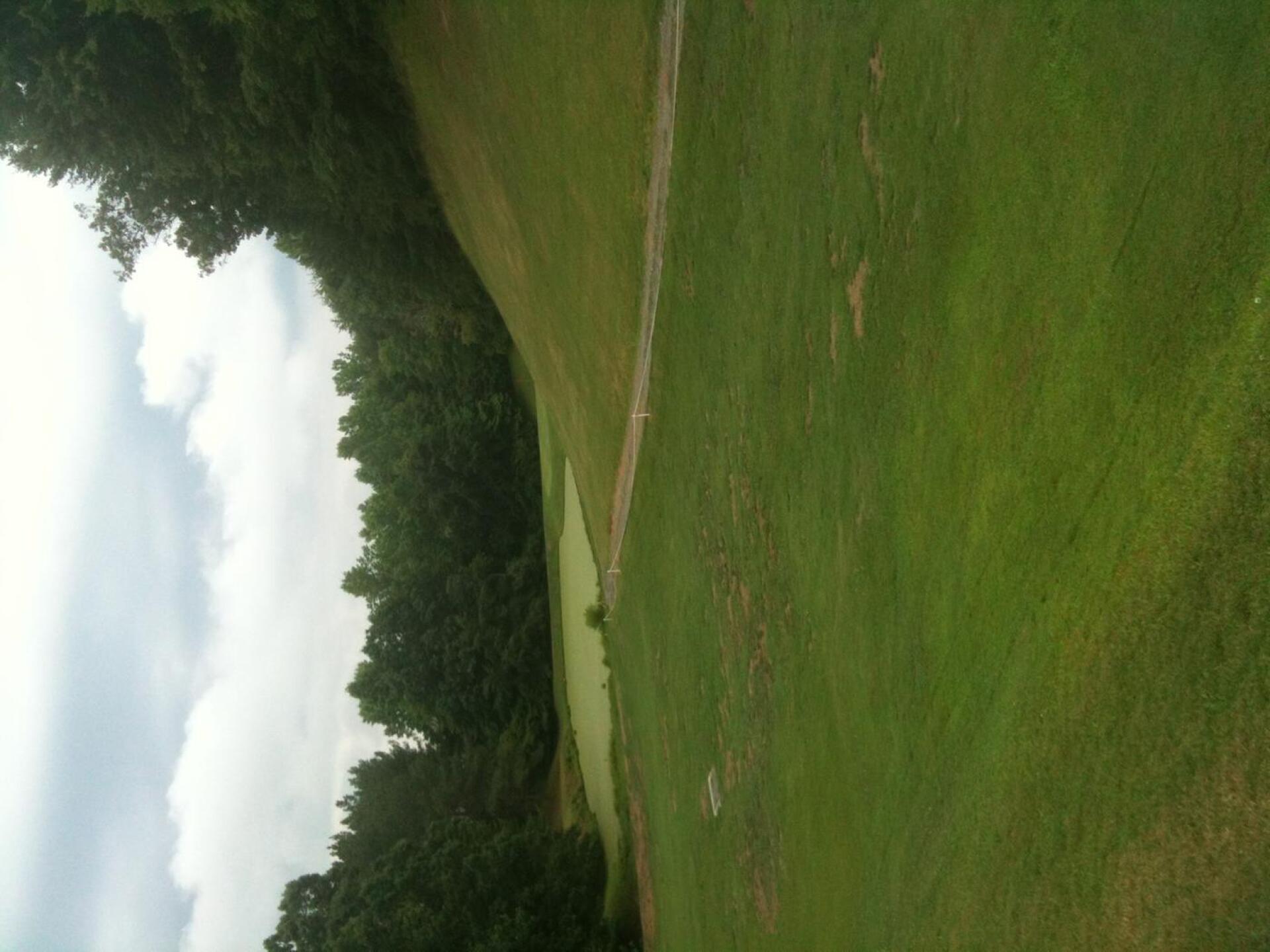 (Photo submitted by Hiltond on 07/03/2015)