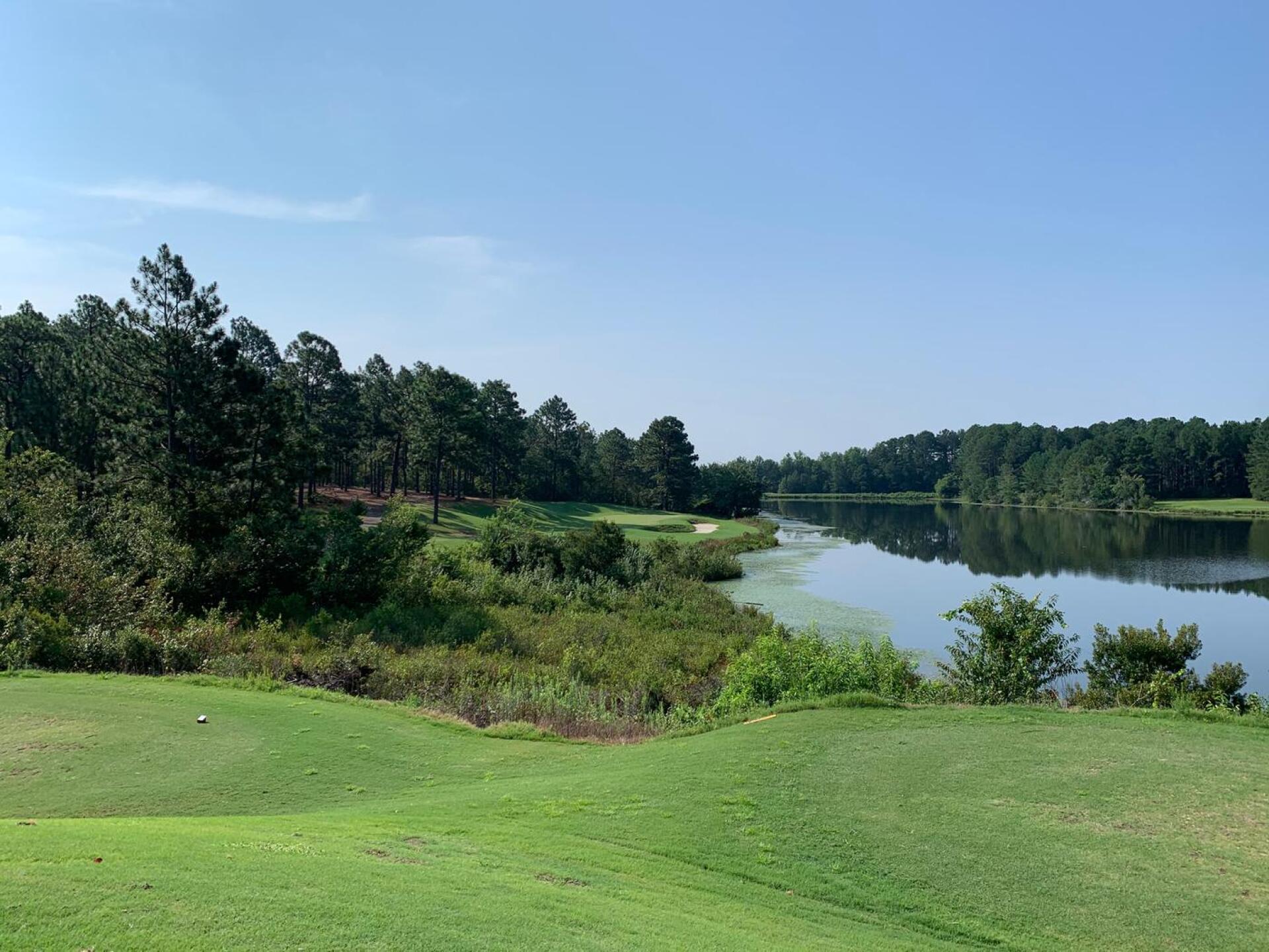 (Photo submitted by dagood1 on 08/11/2020)