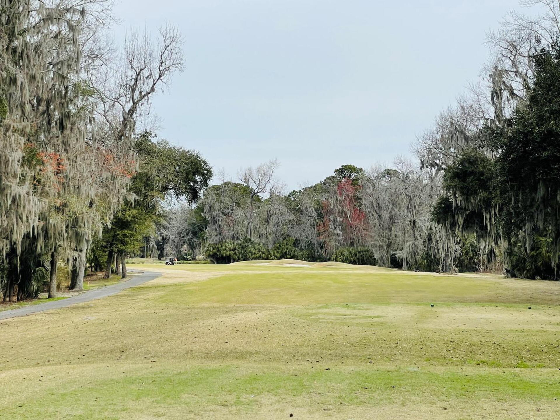 Loved the way this hole was framed. (Photo submitted by u865776341 on 03/09/2021)