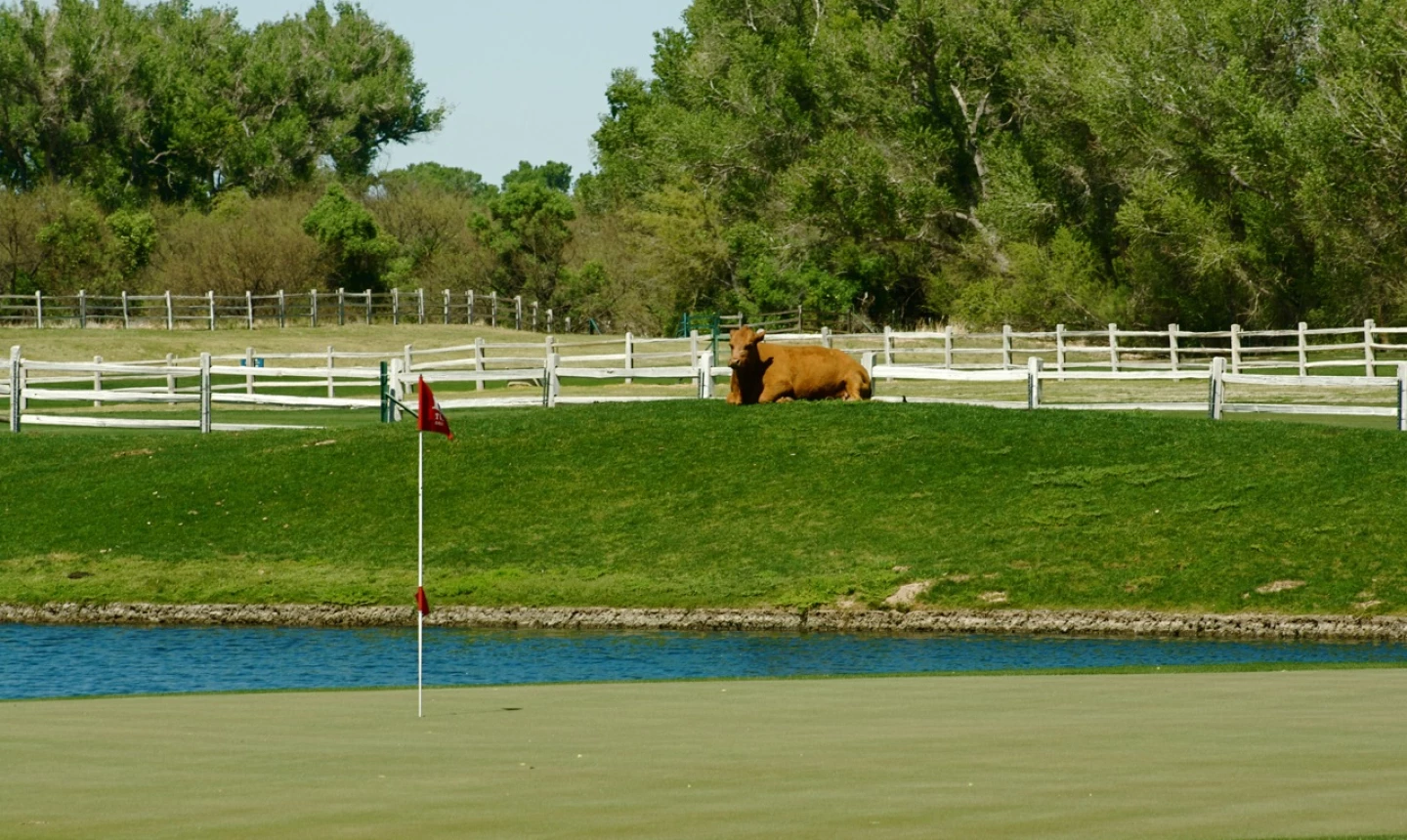 Tubac Golf Resort's ninth hole and ranch