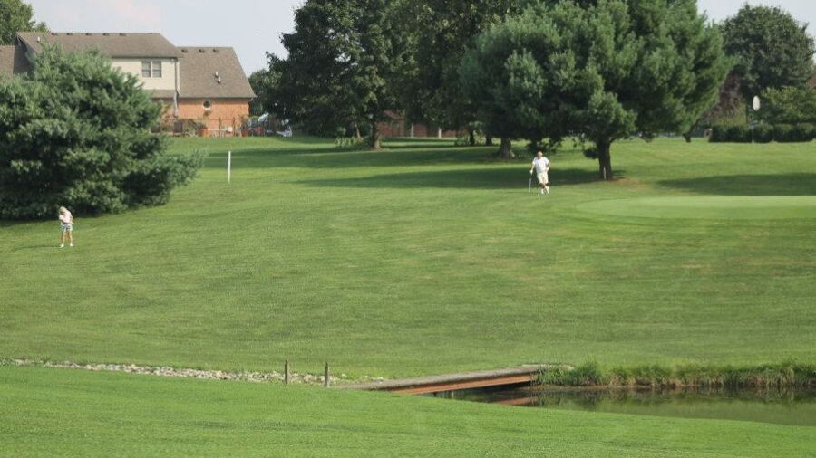Cedar-Fil GC