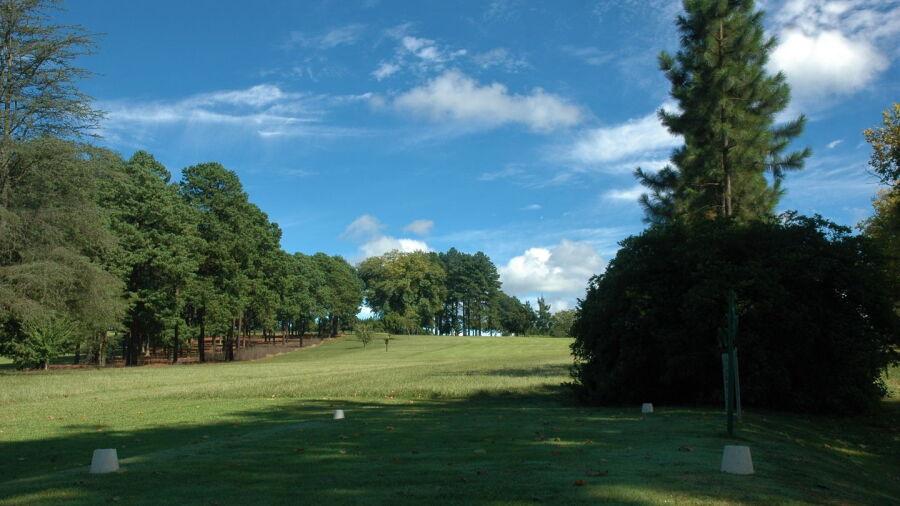 Greytown GC