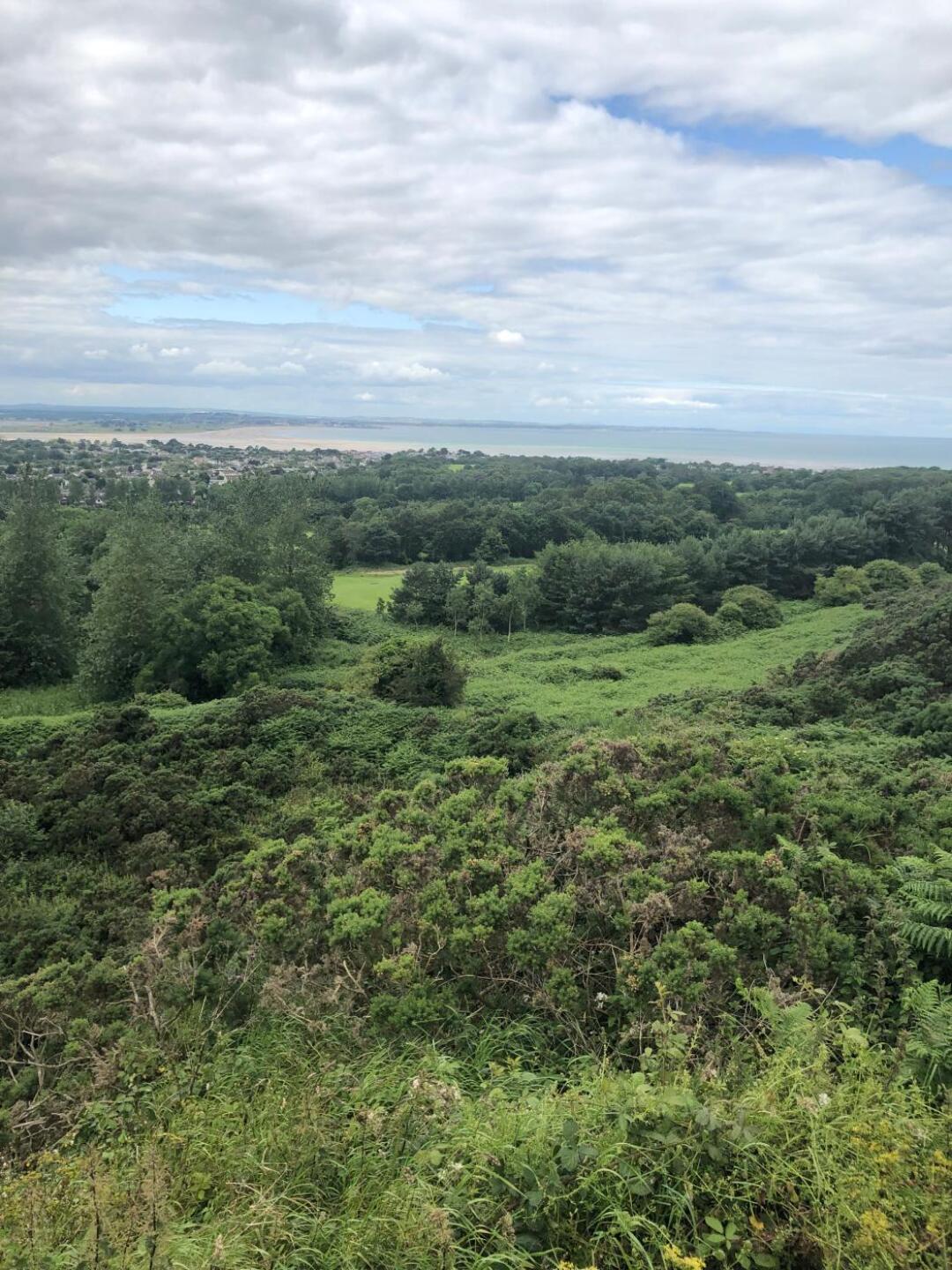 (Photo submitted by Richie4326581 on 07/06/2019)